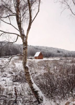 Ensom hytte i Buldalen